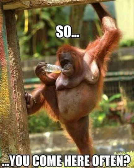  photo 8b4c3551995c5f5a7ed304bda66796f6_zpsymbr7tfo.jpg