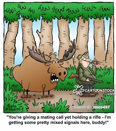  photo animals2_zpsiqbaefst.jpg