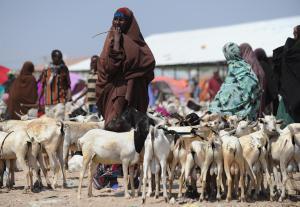 Anyone seen a good Theory of Change?