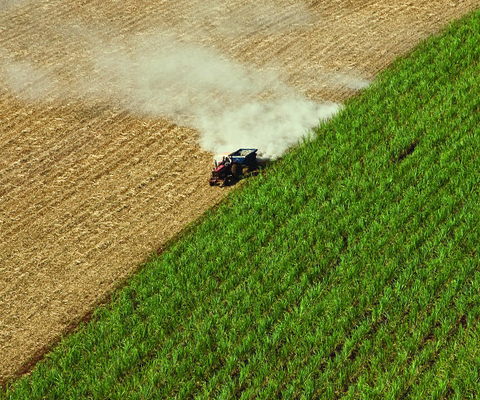 Photo: Will growing our fuels drive us to a cleaner future?
