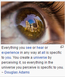 perception2