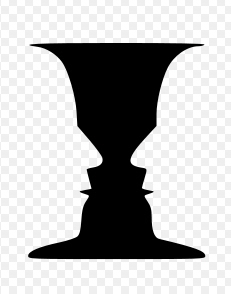 What do you see?