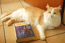 I Stole Jane's Book!