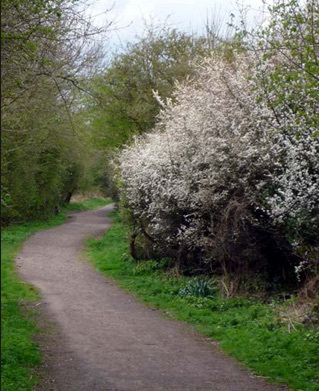 bush1