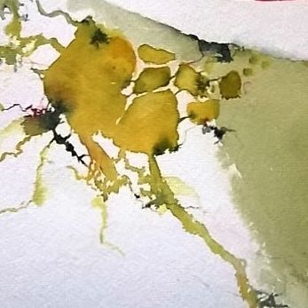 Julie Foley, 'The Sludge Beds from the Bleach Works in Springwater Park'