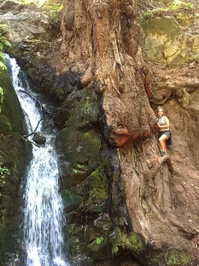 how to pack food for road trip