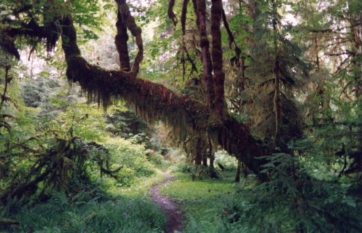 Path2