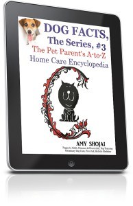 Dog Facts Kindle Cover