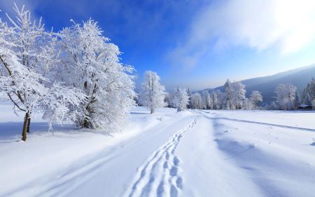 White-Snowfall-Winter-Road-View