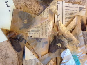 Before digitization. (Photo: Richard Conniff)