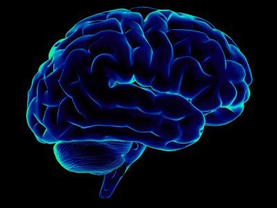 Meningitis Brain