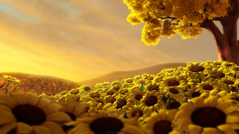 anime-nature-sunflowers-flowers-hills-petals-sunflower-Haiku-Friday-Vashti Q