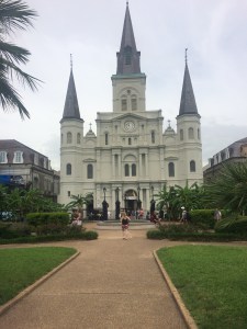 IMG_5527