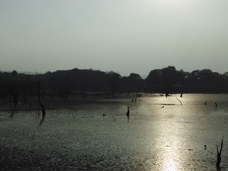 @dgvpawar.blogspot.in