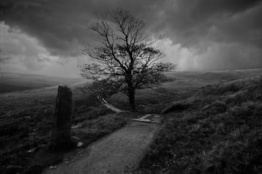 bronte_moors_by_wandereringsoul