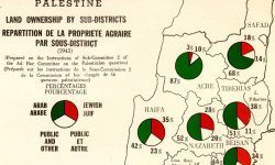 Upper portion of a map showing Palestine land ownership statistics from 1945, prepared by the UN Ad Hoc Committee on the Palestinian Question