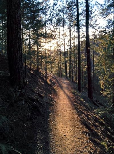 13411786_10156983126040517_211146944773853259_o