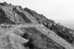 DSC_0460