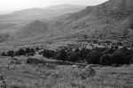 DSC_0501