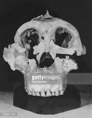  photo A8CB134E-EA81-4244-9F35-1787588EBE0A.jpg