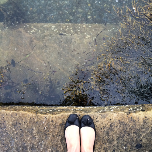 Steps to the Sea 1