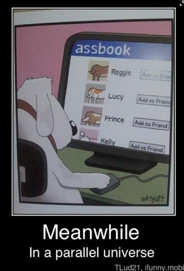 208 Dog