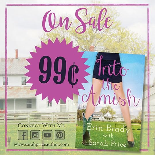 Into the Amish ebook sale