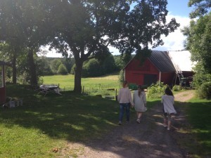 Promenad genom idyllisk miljö. Det var så otroligt vackert.