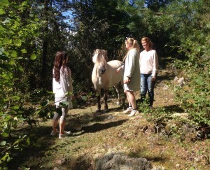 Vi hälsade på hästar som gick i fantastiska hagar. Det här är Tor.