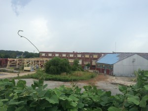 IMG_5709