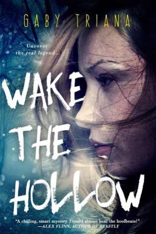 Review – Wake the Hollow by Gaby Triana
