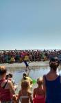 Freeing Turtles