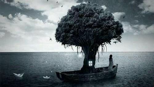 Dreams