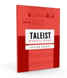 Professional website audit
