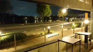 Ohori Park Review - Cafe- Survive Travel