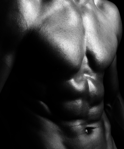 Muscular male torso on black background