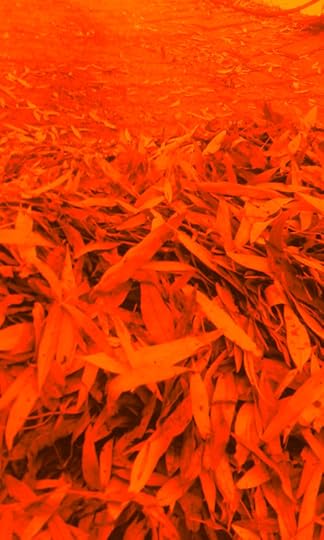 IMG_20160714_110243