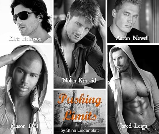 My Song for You (Pushing Limits, #2) by Stina Lindenblatt