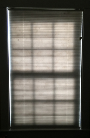 shade