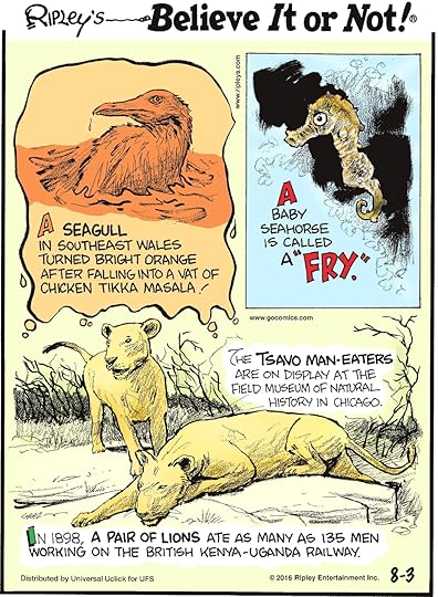 A seagull in Southeast Wales turned bright orange after falling into a vat of tika masala! -------------------- A baby seahorse is called a “fry”. -------------------- The Tsavo man-eaters are on display at the Field museum of natural History in Chicago. -------------------- In 1989, a pair of lions ate as many as 135 men working on the British Kenya-Uganda railway.