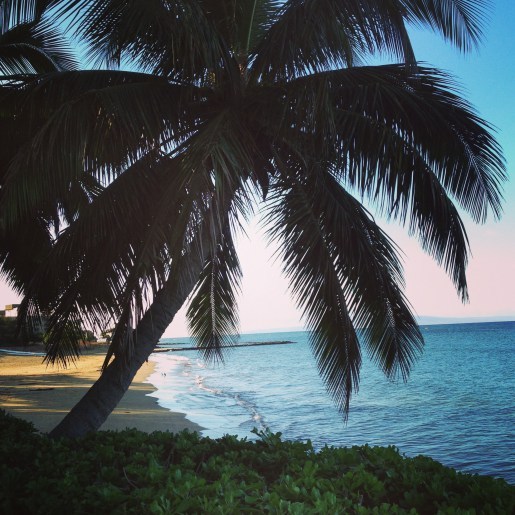 I was so happy to share my points to include my little bro on the family trip!