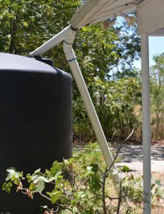 Wildlife-in-the-pipe-08-03-2016