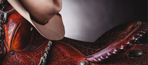 saddle