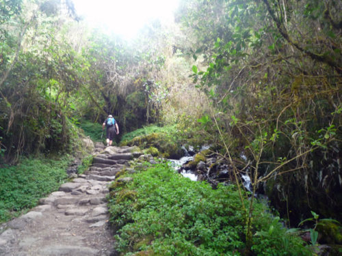 stairs inca trail