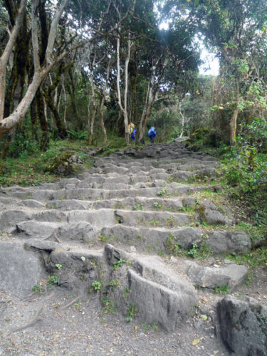 stairs inca trail