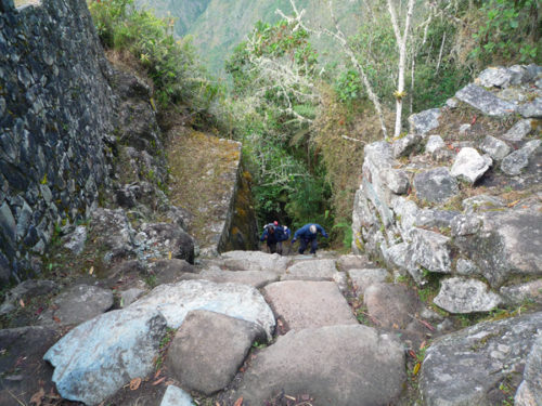 day 4 steps of doom