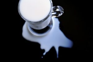 Spilt vs Spilled Milk