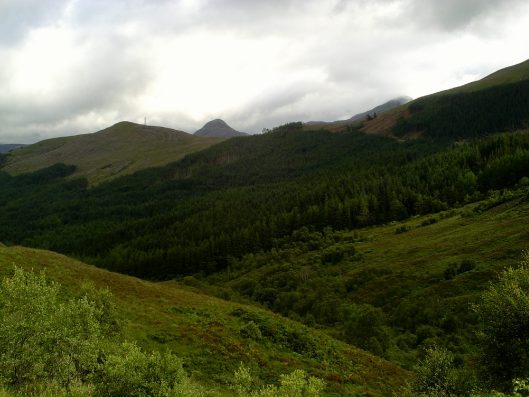 My beautiful picture