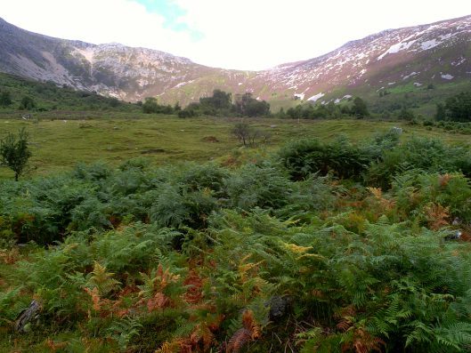 My beautiful picture