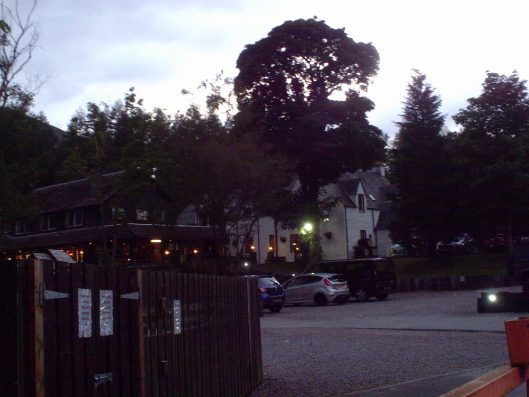 My beautiful picture